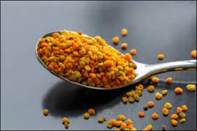 Où sont produits les grains de pollen ?