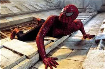 Il jouait le rôle de Spider-Man dans les 3 premiers films.