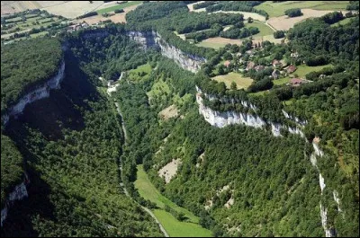 La reculée est faite de deux branches qui entaillent le plateau calcaire et se terminent par un cirque ; les ramifications donnent naissance à la vallée de la Seille :