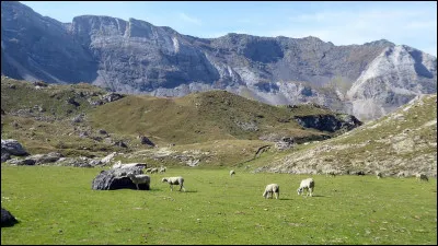 Ce grand cirque glaciaire, d'un diamètre moyen de 4 km, est encadré par le pic de Bouneu (2 726 m) et le pic de la Sède (2 694 m) :
