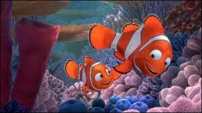 Quelle est la race de Nemo dans "Le Monde de Nemo" ?