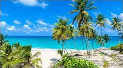 Cette chanteuse mondialement connue est née sur l'île de la Barbade.