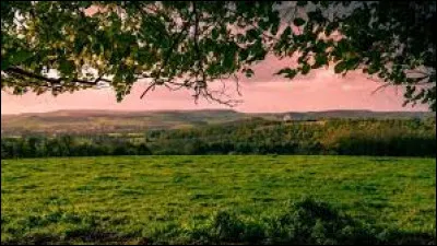 Laquelle de ces langues est l'une des officielles ?