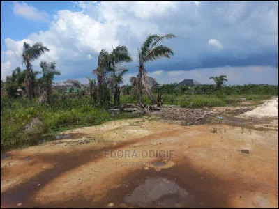 Combien d'hectares a acheté le gouvernement des îles Kiribati ?