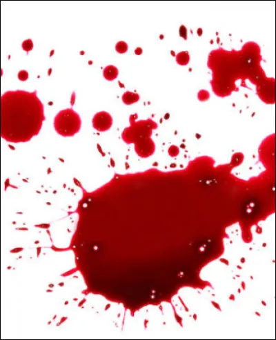 Le chef dis de lancer une attaque contre le Clan de l'Ombre.Il ne dis pas pourquoi.Tu