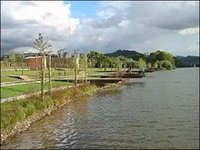 Long de 234 km, il est le seul fleuve (et le plus long) avec le Sado &agrave; couler uniquement au Portugal. De quel fleuve s'agit-il ?