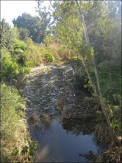 Quel est le plus long fleuve de Chypre avec 100 km ?