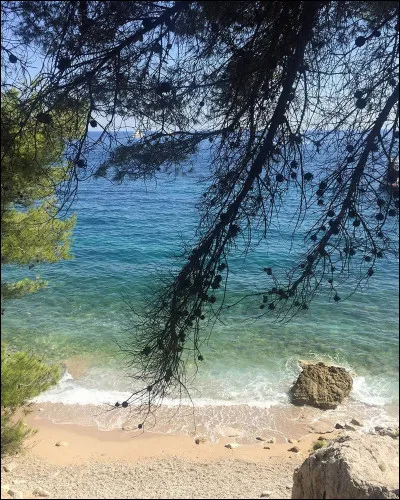 Complétez les paroles de "Le Bleu lumière" : 

"Le bleu du ciel
N'est pas le bleu de la mer
Ce bleu que moi je préfère
Sans vraiment savoir pourquoi
J'aimerais tant rester fidèle à ma terre
Oublier le vent éphémère
__________________________".