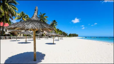 Complétez les paroles de "Le Bleu lumière" : (suite)

"J'ai beau dire je reste
Je ne partirai pas 
Chacun de mes gestes 
Chacun de mes pas
Me ramènent sans cesse
Malgré les promesses
__________________".