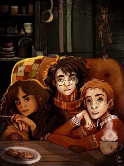 Pourquoi Harry et Hermione se font-ils punir ? (première année)