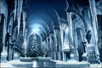 Avec qui danse Dumbledore au bal de Noël ? (tome 4)