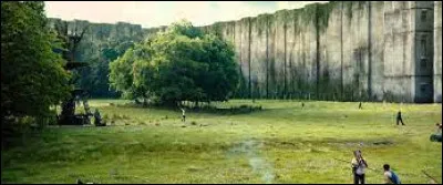 Comment appelle-t-on la zone boisée situé au cur du Labyrinthe ?