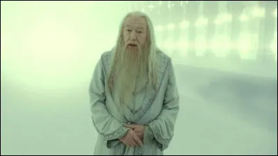 Dumbledore a-t-il vraiment fait son apparition ?