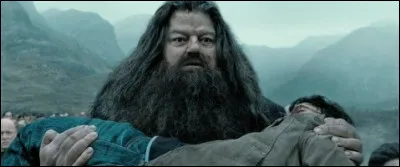 Ici, Hagrid est-il au courant que Harry est en vie ?