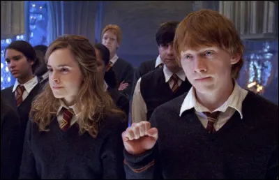 Pourquoi le golden trio retourne-t-il à Poudlard ?