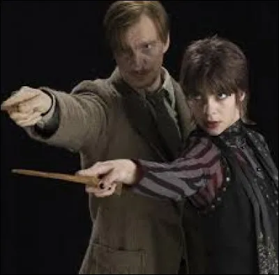 Qui va soccuper de lenfant de Nymphadora Tonks et Remus Lupin (Ted Lupin) après leur mort ?