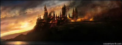 Comment pouvons-nous imaginer que lécole va être reconstruite ? (1 seul choix)