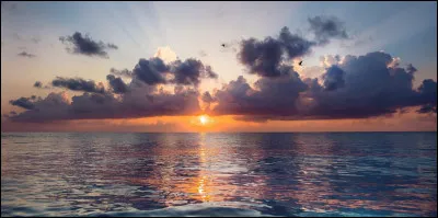 Complétez les paroles de "L'amour est un cadeau". (Suite)

"Quoi ?
Qu'un inconnu finisse...
Toutes vos phrases !
C'est ce que j'allais vous dire !
Je ne connais personne...
Qui me ressemble autant !
Nos âmes sont comme synchronisées''