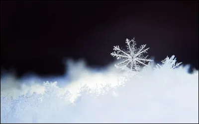 Complétez les paroles de "Libérée, délivrée". (Suite)

"Libérée, délivrée
C'est décidé, je m'en vais
J'ai laissé mon enfance en été 
Perdue dans l'hiver''