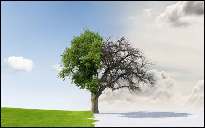 Complétez les paroles de la chanson "Le Renouveau".

"Ouvrez les volets dans le salon
Laissez entrer cet air, il sent si bon 
Et mettez les petits plats dans les grands
J'étais seule dans ces longs couloirs 
Il n'y avait pas de bal le soir''