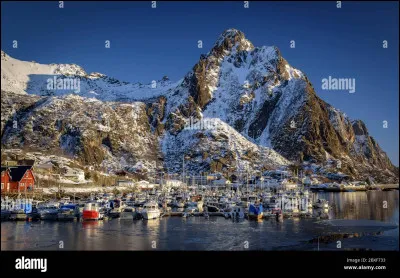 Complétez les paroles de la chanson "le Renouveau". (Suite)

"Je vais fêter ce renouveau 
En dansant jusqu'au matin...
Enflammée, exaltée, surexcitée
Ils peuvent bien dire ce qu'ils veulent''