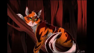 Quel pelage aimerais-tu avoir ?