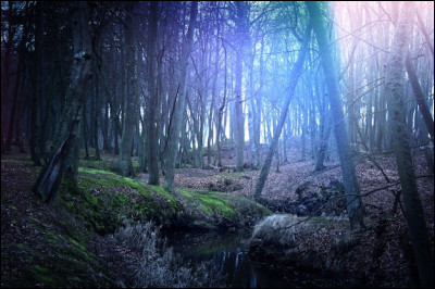 Quelle sorte de nom LGDC aimerais-tu avoir ?