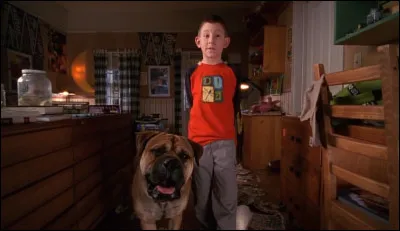 Comment Dewey appelle-t-il le chien qu'il trouve dans la rue ?