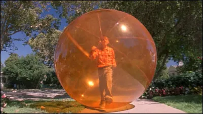 Quel animal de sa classe et qui est dans une bulle, Dewey ramène-t-il à la maison ?