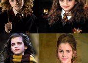 Test Pourrais-tu tre amie avec Hermione Granger ?