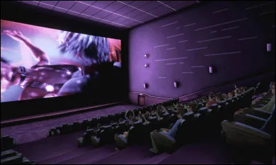 Quel style de vidéos préférez-vous ?