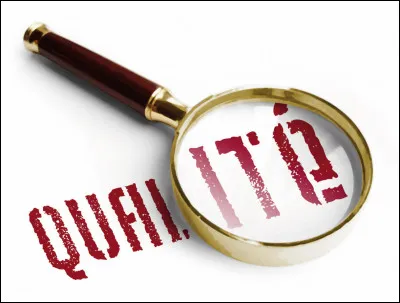 Quelle "véritable" qualité pensez-vous posséder parmi les suivantes ?