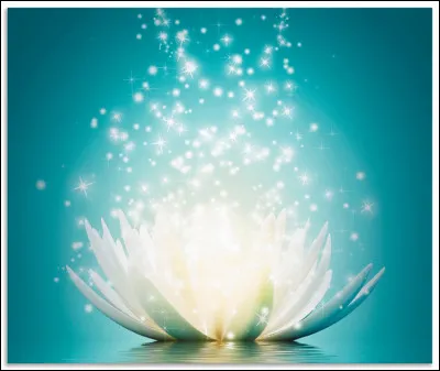 Quelle magie aimeriez-vous maitriser ?