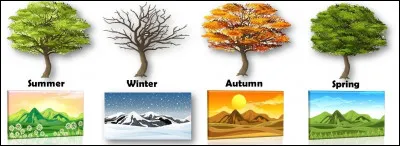 Quelle est ta saison préférée ?