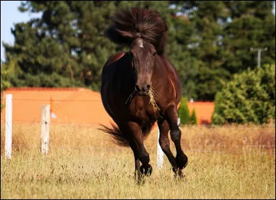 Quelle est cette robe ?