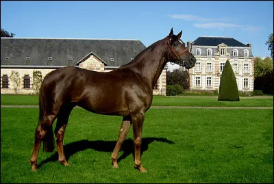 Quelle est cette robe ?