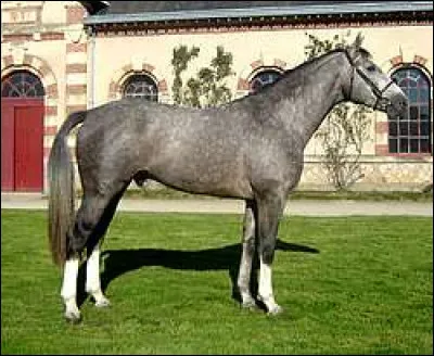 Quelle est cette robe ?