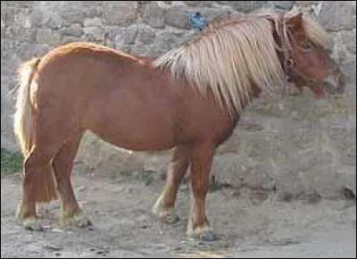 QUESTION + : Quelle est cette robe ?