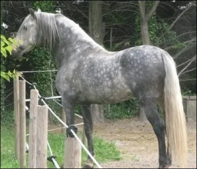 Quelle est cette robe ?