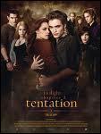 Combien sont-ils dans la famille Cullen, quand Bella et Renesme les ont rejoint ?