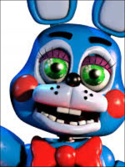Quel est l'objet de Toy Bonnie ?
