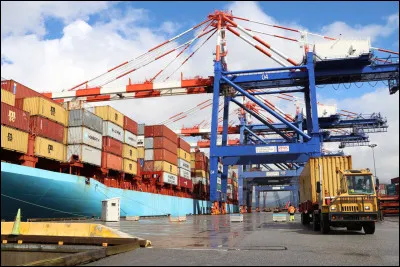 Il est tout minuscule, c'est le...