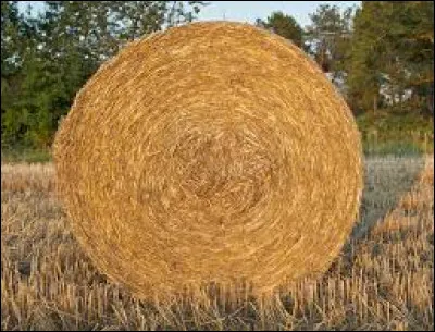 De quelle couleur est la paille ?