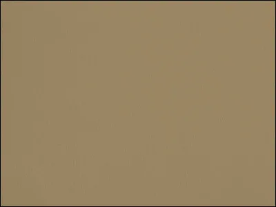 De quelle couleur s'agit-il ?