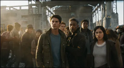 Dans quel film un groupe de jeunes doit-il survivre dans un monde apocalyptique ?