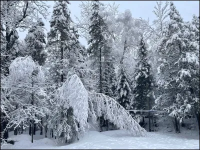 Complétez les paroles de "J'ai perdu le nord" : 
Je suis comme une boussole
Qui a perdu le nord 
Et le sud, l'est et l'ouest
Quand tu t'en vas
Oh plus ne me console 
Et j'ai perdu le nord...