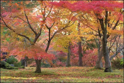 Complétez les paroles de "Point d'avenir sans nous" : 
Oui, le vent qui se lève et vient du nord 
Il nous rend un peu plus fort
Tous les nuages du passé 
Sont partis sans un bruit...
