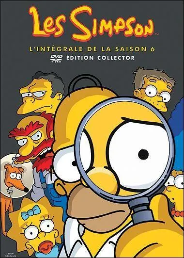 Combien d'pisodes comporte le DVD des Simpson saison 6 ?