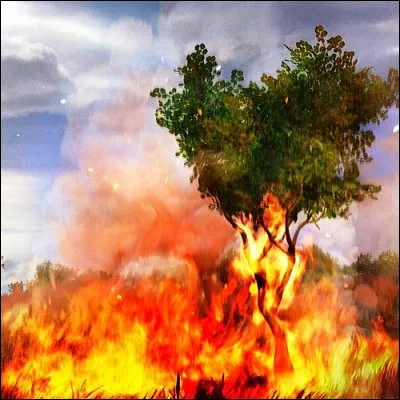 Quel groupe des ann&eacute;es 1980 a sorti le single "Pendant que les champs br&ucirc;lent" ?