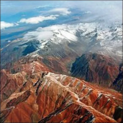 Lequel de ces animaux est originaire de la Cordill&egrave;re des Andes ?